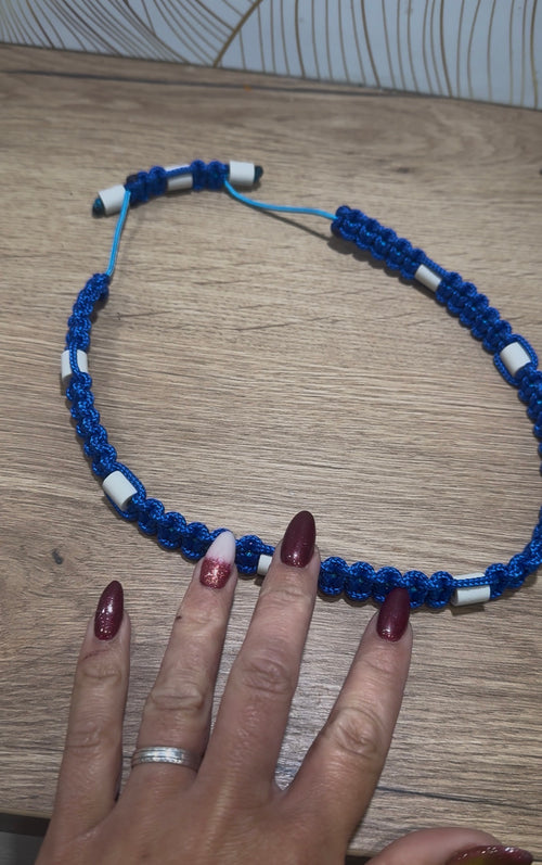 collier anti puce / tiques pour chien